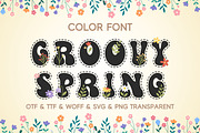Groovy Spring - Color Font, a Sans Serif Font by Adalin Shop (Thumbnail 1 of 3)