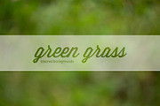 GreenGrass blurred backgrounds, a Texture Graphic by Punto Photo (Thumbnail 1 of 3)