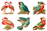 Watercolor Birds Clipart, a Seasonal Illustration by CreationArt (Thumbnail 2 of 5)