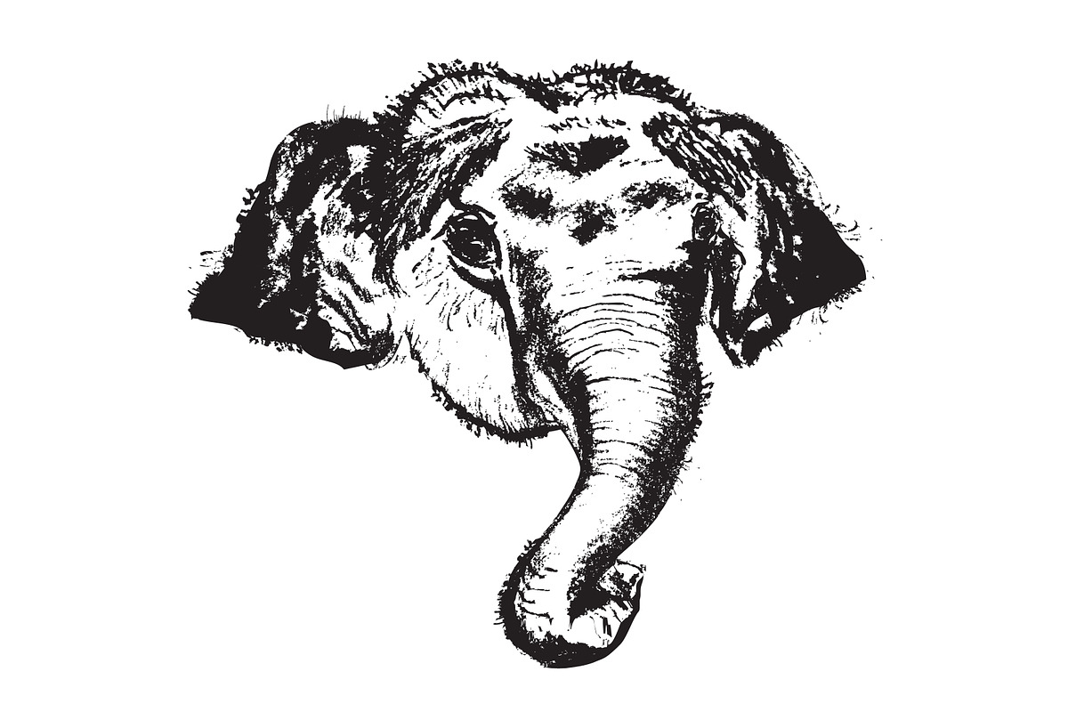 Elephant Hand Drawn Illustration, an Animal Illustration by cvcreative (Photo 3 of 3)