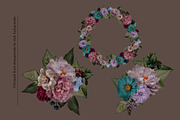 Isolated real flowers clipart set, an Object Graphic by The Graphic Parade (Thumbnail 6 of 14)