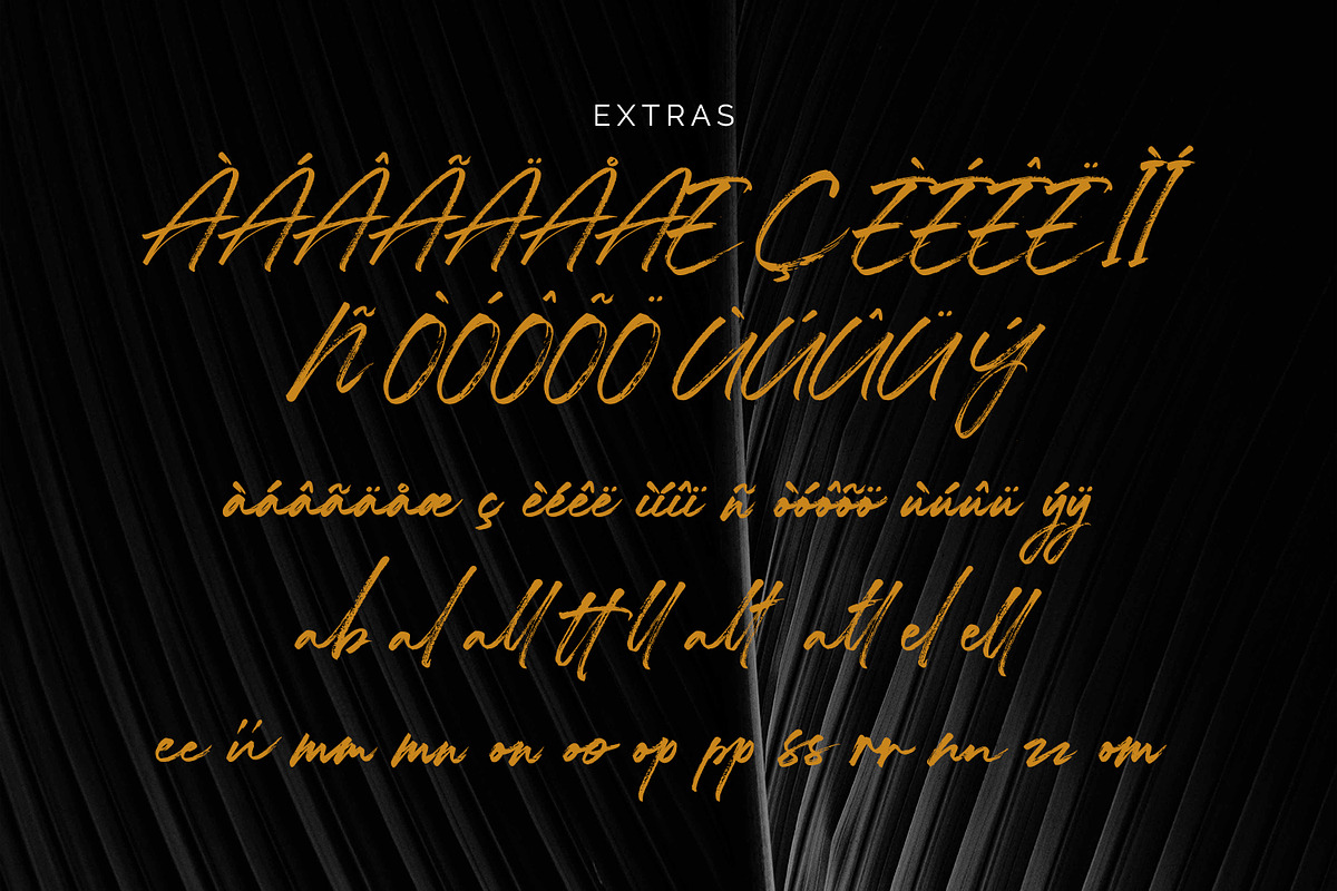 Charlietta de Angela - Brush Script, a Script Font by Almarkhatype (Photo 9 of 10)