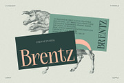 CS Alessia – Elegant Font, a Serif Font by Craft Supply Co. (Thumbnail 2 of 8)
