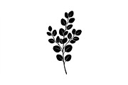 Eucalyptus Foliage Silhouette Set, an Object Graphic by Designs_River (Thumbnail 3 of 3)