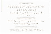 Blesson Signature Font, a Script Font by Sronstudio (Thumbnail 9 of 11)