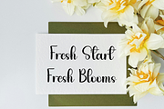Monkey Holiday, a Handwritten Font by InermediaSTUDIO (Thumbnail 7 of 7)
