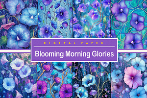 Blooming Morning Glories