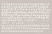 Magic Display | Retro Serif Typeface, a Serif Font by Typoraith Co (Thumbnail 14 of 16)