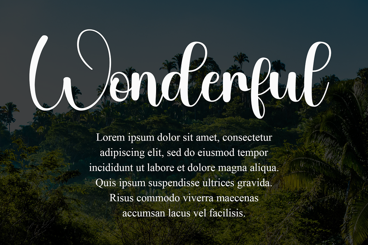 Delightful, a Handwritten Font by InermediaSTUDIO (Photo 8 of 8)