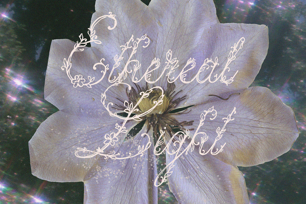 Petalia Decorative Floral Font, a Script Font by AnMark (Photo 7 of 11)