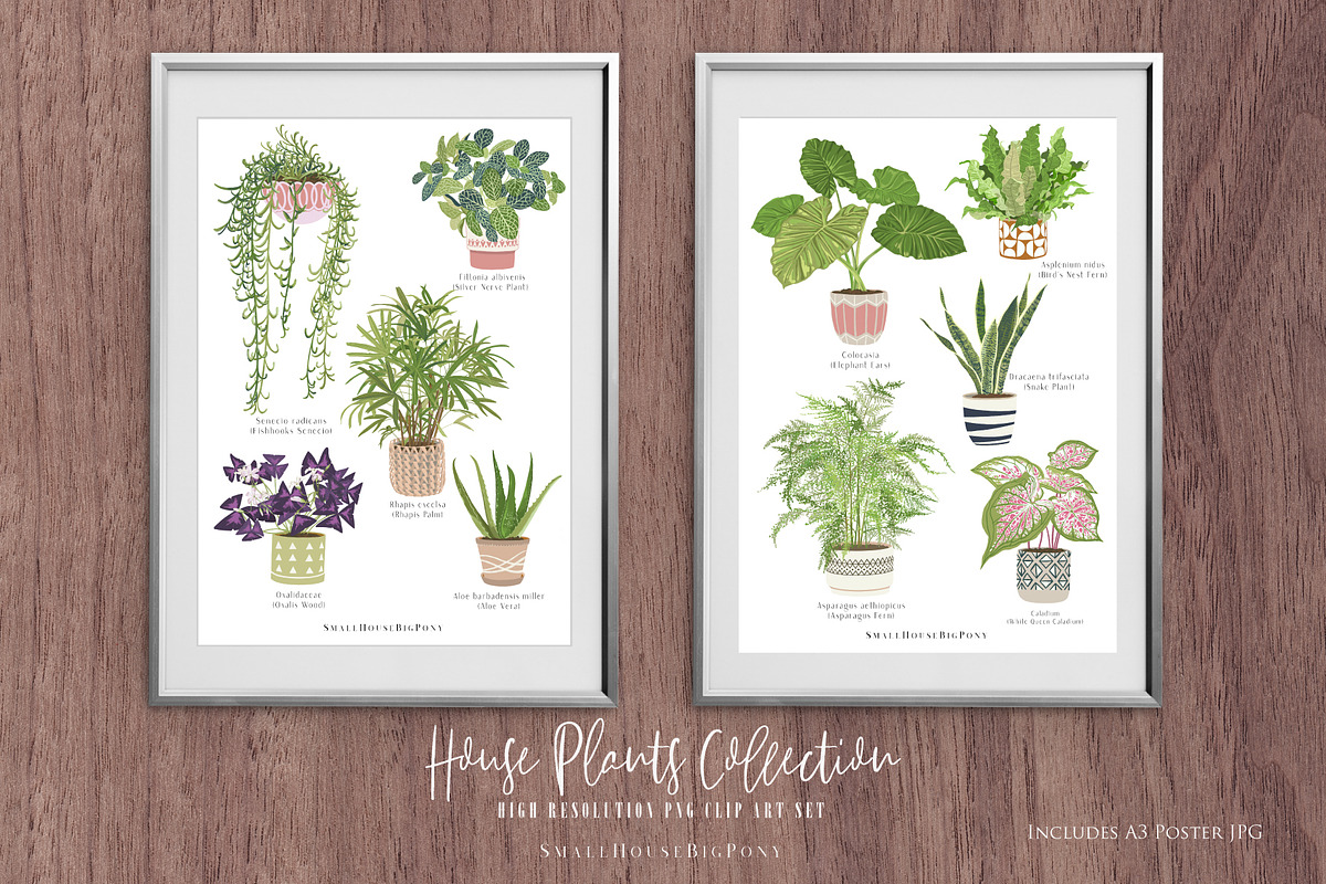 House Plants Collection Set II, a Graphic by SmallHouseBigPony (Photo 2 of 21)