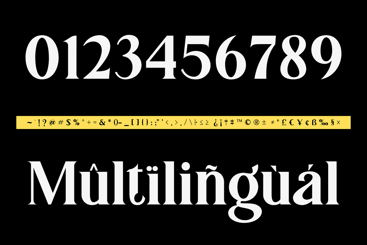 Gundogan | Serif Font, a Font by BearyType Studio (Photo 3 of 10)