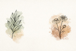 Botanical illustration featuring lea, a Photo by Dvoevnore photos