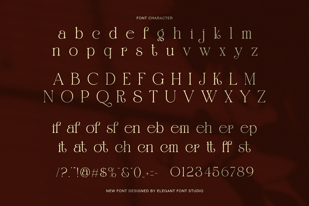 Rugifen Elegant Serif Font, a Serif Font by Elegant Font (Photo 8 of 8)