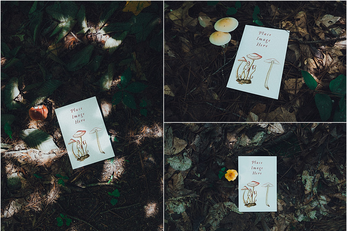 Mushroom Collection Vol. 1 - Mockups, a Print Template by Wild Joy Studios (Photo 5 of 5)