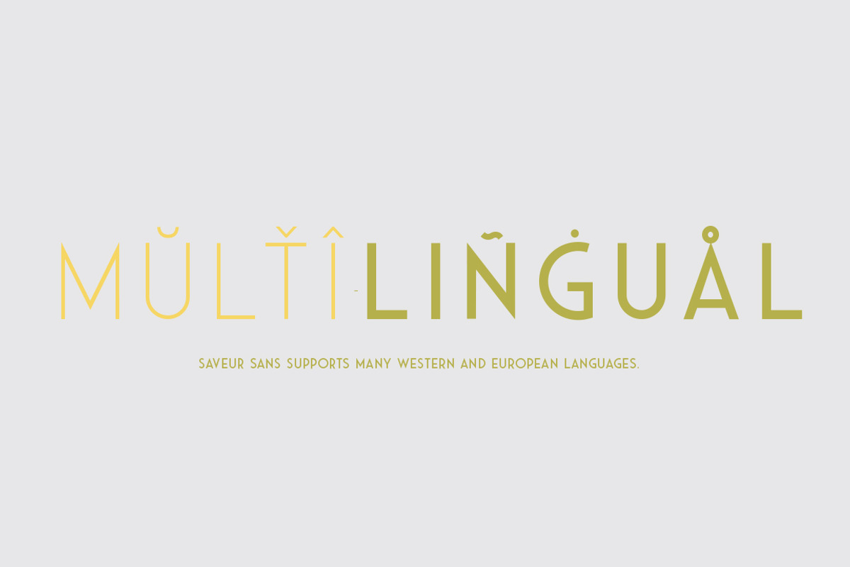 Saveur Sans, a Sans Serif Font by Arkitype (Photo 9 of 15)