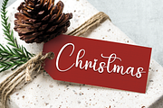 Beautica | Script Font, a Handwritten Font by Scratchones (Thumbnail 4 of 9)
