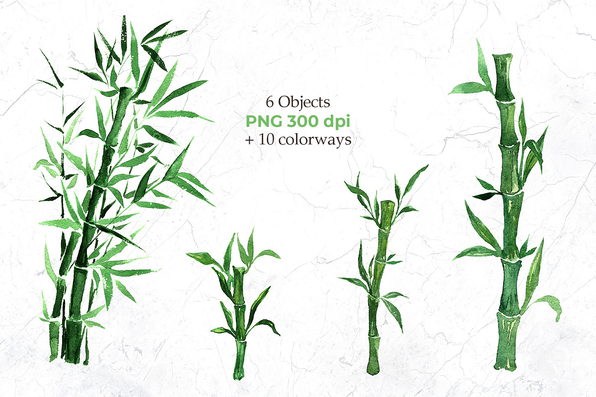 Japanese Bamboo collection, a Pattern Graphic by ilonitta (Photo 8 of 11)