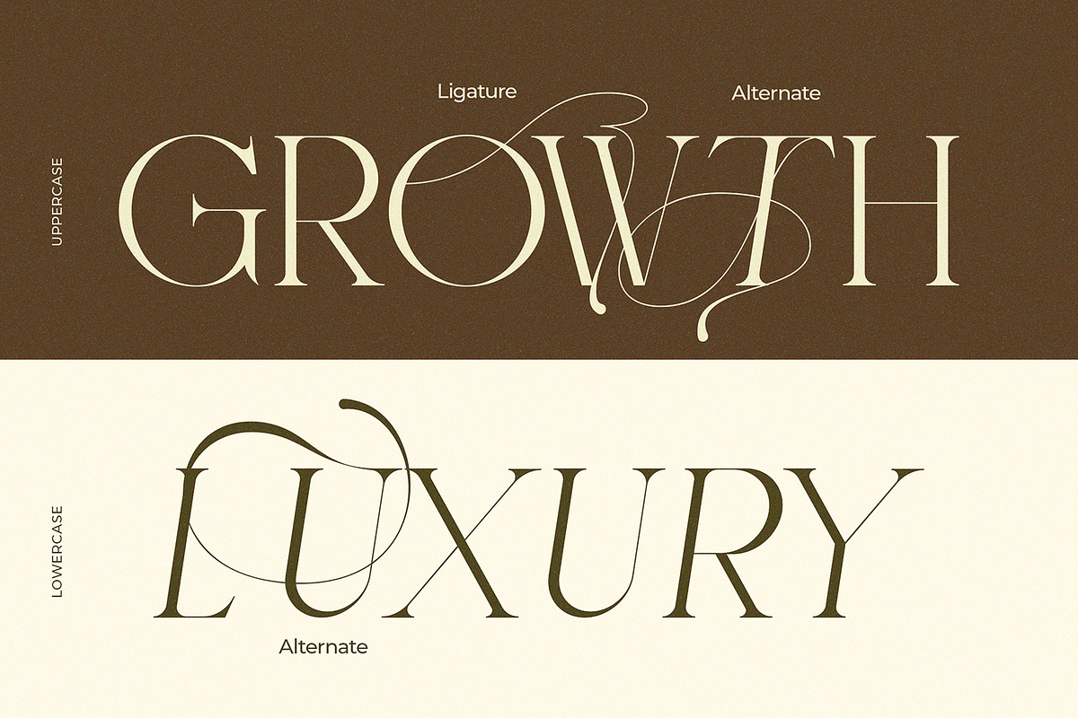 Govhie Deries Aesthetic Elegant, a Serif Font by Typetemp Studio (Photo 6 of 11)
