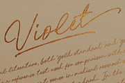 Nice Memory - Nostalgic Script, a Script Font by Sarid Ezra (Thumbnail 9 of 13)