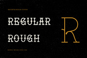 Navigator, a Slab Serif Font by Arkitype (Thumbnail 5 of 11)