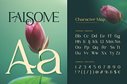 Falsome, a Serif Font by Burntilldead (Thumbnail 2 of 12)