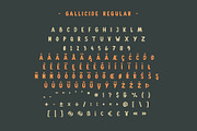 Gallicide With Extras, a Slab Serif Font by MuSan (Thumbnail 3 of 7)