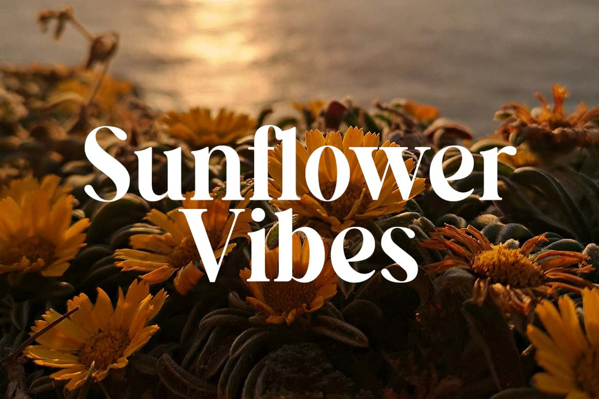 Jacklight Beach Serif Retro Font, a Serif Font by UICreative (Photo 12 of 13)