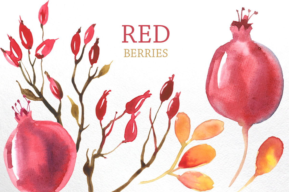 Watercolor branches and berries, an Illustration by katyabuslaeva (Photo 3 of 8)