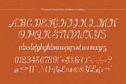 Better Santeria - Handwritten Script, a Script Font by Shakira Studio (Thumbnail 9 of 10)