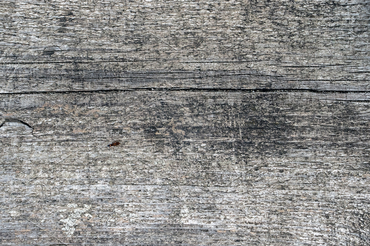 Natural wood texture patterns, a Background Photo by Schreibikus (Photo 8 of 8)