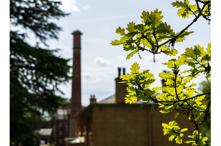 Restored industrial cotton mill in, an Architecture Photo by Backyard Stock