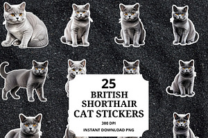 Cute British Shorthair Cat Sticker