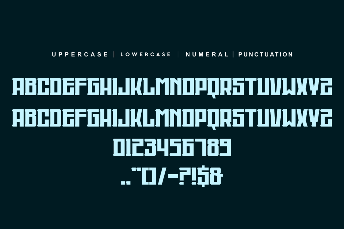 Reckongo, a Serif Font by alon kelakon (Photo 4 of 5)