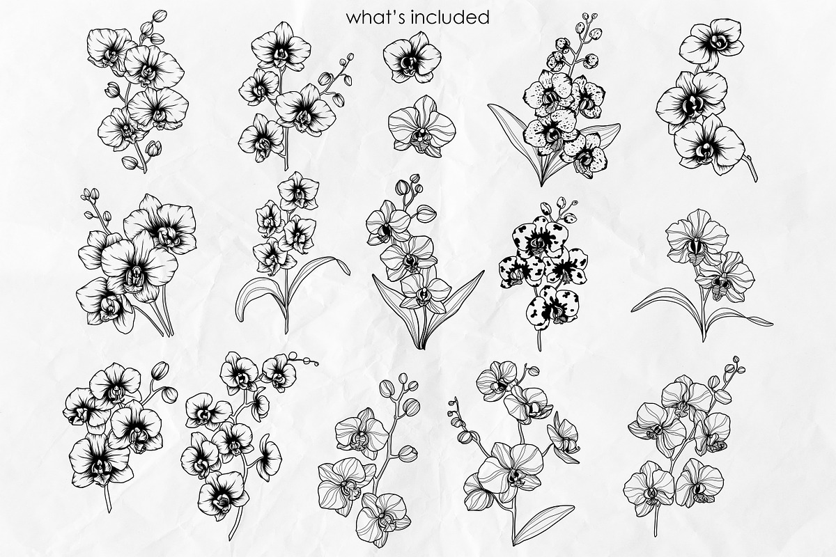 Ochid flowers Line art svg, an Object Graphic by Dervik Art Store (Photo 3 of 9)