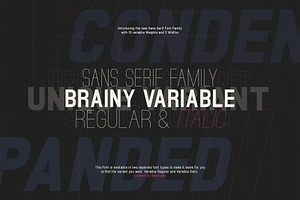 Brainy - Sans Serif (132 Fonts)
