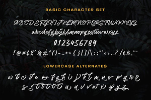 Matriver - Brush Font