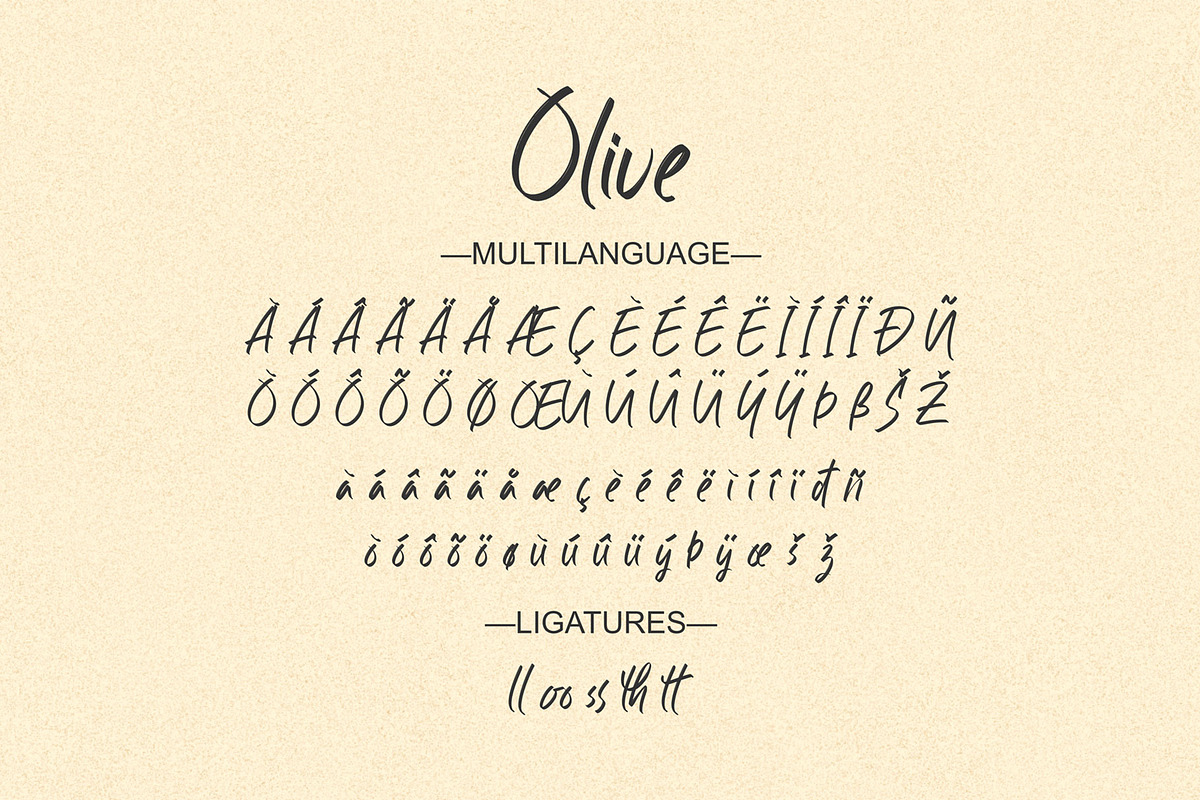 Olive, a Script Font by Omotu Studio (Photo 7 of 8)
