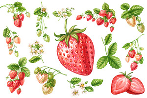 Watercolor Strawberry Fruit Clipart, a Food Illustration by Stellalunarts