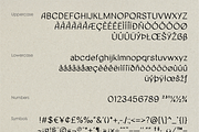 Cataloger Font, a Handwritten Font by noonsun (Thumbnail 6 of 6)