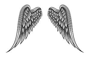 Hand Drawn Angel Wings