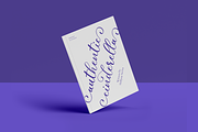 Wonderful Calligraphy, a Handwritten Font by RockboyStd (Thumbnail 10 of 12)