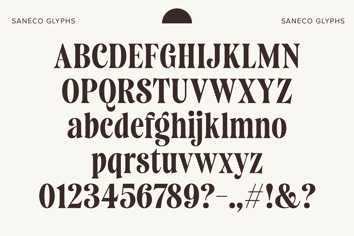 Saneco | Display Serif, a Serif Font by Jolicia Type (Photo 7 of 12)