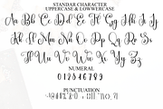 Valentine Nightday, a Handwritten Font by FreshTypeINK (Thumbnail 2 of 8)