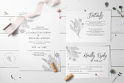 Morning Mist - Herb Collection, a Decorative Illustration by Momo Studio (Thumbnail 7 of 18)