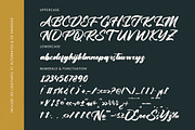 Yulinta Satin Bold Calligraphy Font, a Script Font by Letterena Studios Script (Thumbnail 17 of 20)