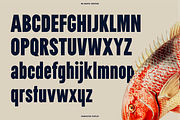Nautic Grotesk - Modern Display Font, a Sans Serif Font by Bnick (Thumbnail 12 of 12)