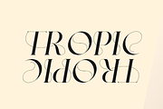 Numea - All Caps Elegant Font, a Serif Font by Pandeka Studio (Thumbnail 3 of 10)