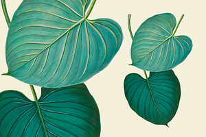 SALE! Botanical Heaven-Illustrations