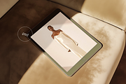 Golden iPad Mockup | Minimalistic, an iPad Mockup by The Ethical Agency (Thumbnail 1 of 3)